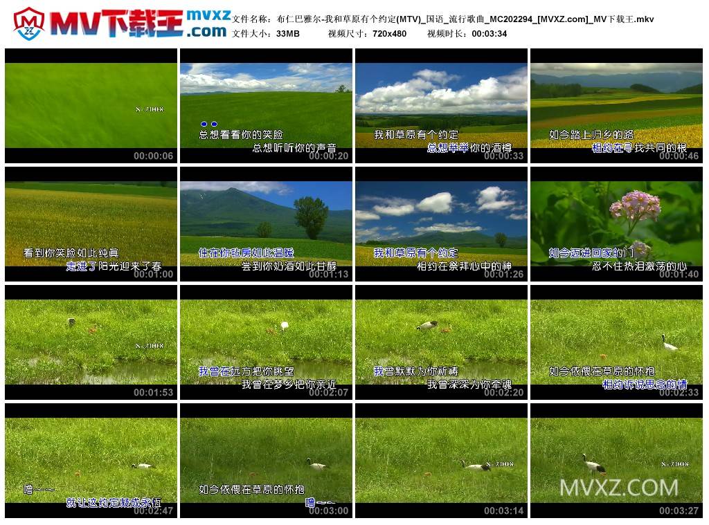 布仁巴雅尔-我和草原有个约定(MTV)_国语_流行歌曲_MC202294